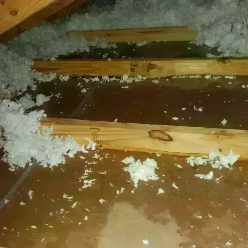 Attic Water Damage in Columbia, TN