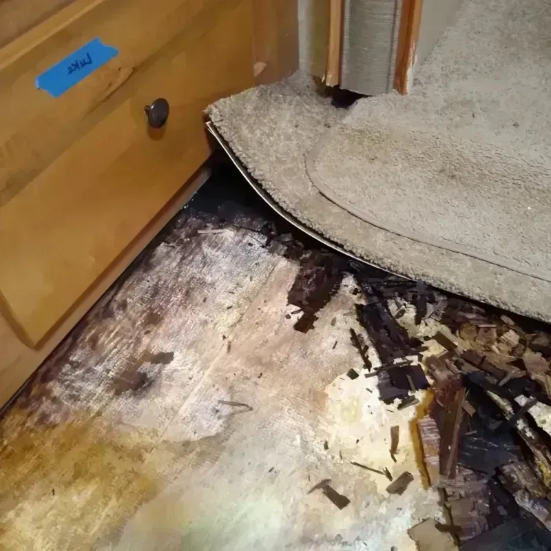 Wood Floor Water Damage in Columbia, TN